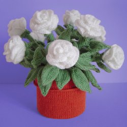 Knitted Houseplant